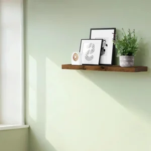 Wooden wall shelf with three framed black-and-white art prints and a potted plant on a pale green wall. A small white decorative object sits on the left of the frames.